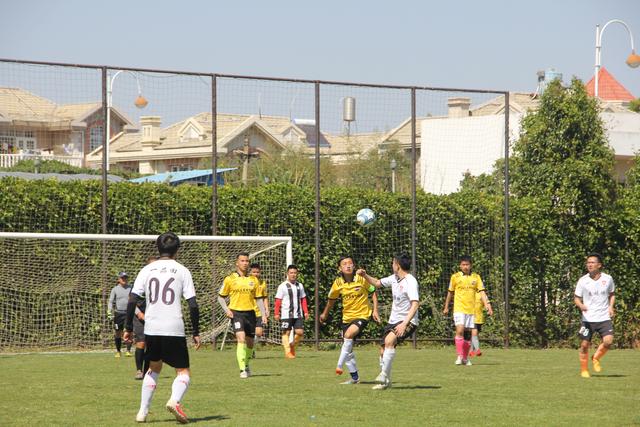 阿尔卡拉斯、萨巴伦卡当选劳伦斯世界体育奖最佳运动员